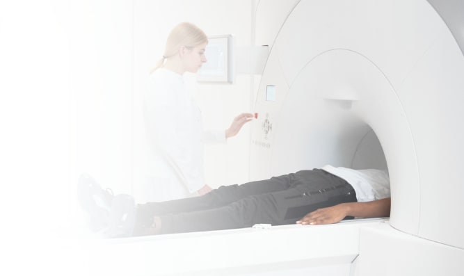 мрт органов малого таза