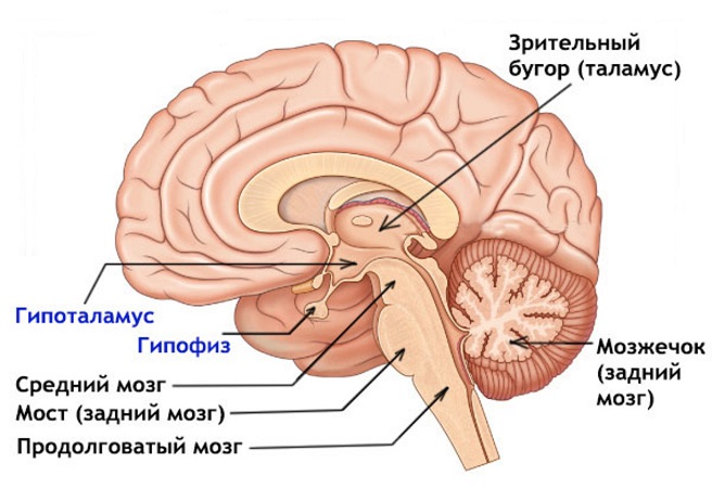 Аденома гипофиза симптомы