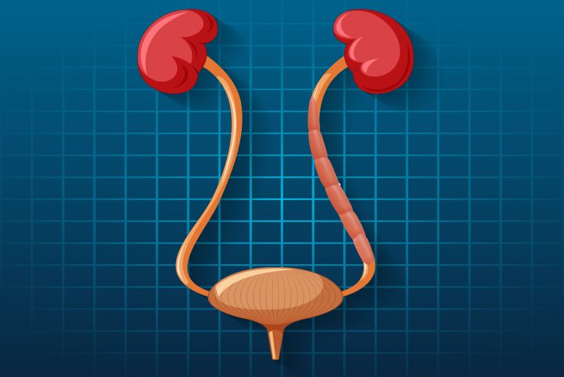 Кишечная пластика мочеточника