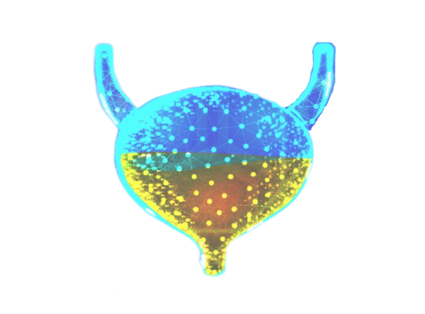 нейрогенная дисфункция мочевого пузыря нейрогенная дисфункция мочевого пузыря